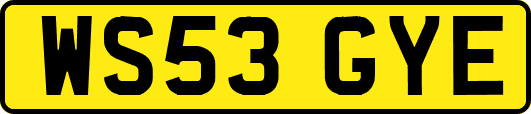 WS53GYE