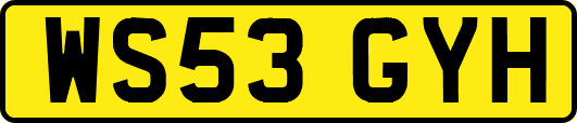 WS53GYH