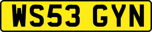 WS53GYN