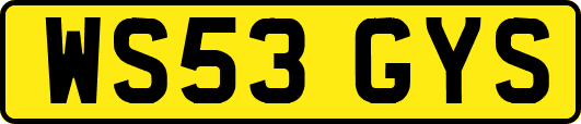 WS53GYS
