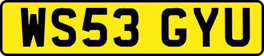 WS53GYU