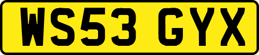 WS53GYX