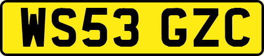 WS53GZC