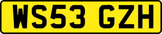 WS53GZH