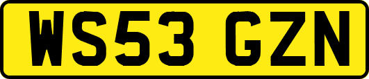 WS53GZN