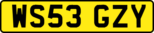 WS53GZY