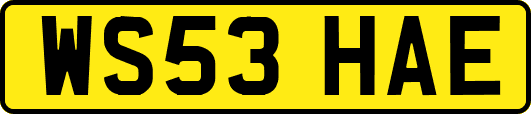 WS53HAE