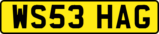 WS53HAG