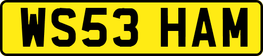 WS53HAM