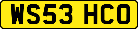 WS53HCO