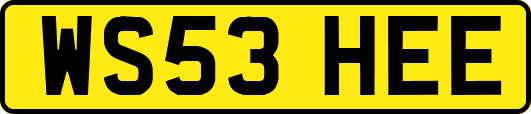 WS53HEE