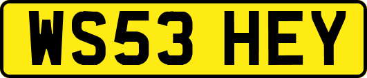 WS53HEY
