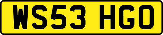 WS53HGO
