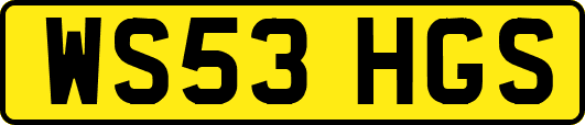 WS53HGS