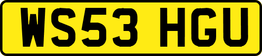 WS53HGU