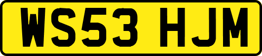 WS53HJM