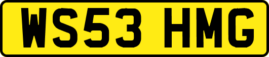 WS53HMG