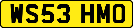 WS53HMO