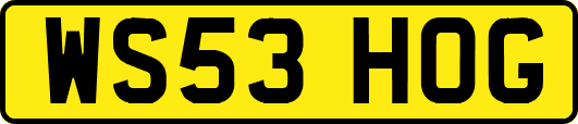 WS53HOG
