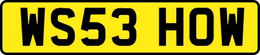 WS53HOW