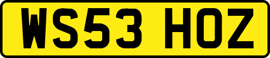 WS53HOZ