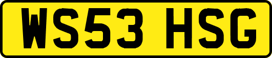 WS53HSG