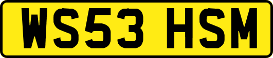 WS53HSM