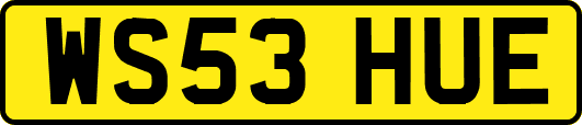 WS53HUE