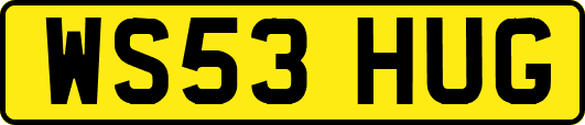 WS53HUG
