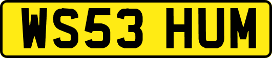 WS53HUM