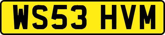 WS53HVM