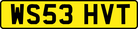 WS53HVT
