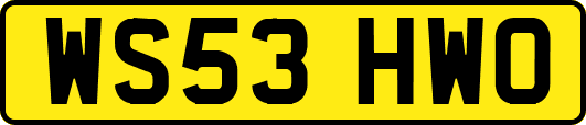 WS53HWO