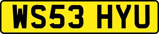 WS53HYU