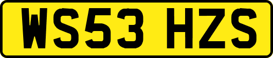 WS53HZS