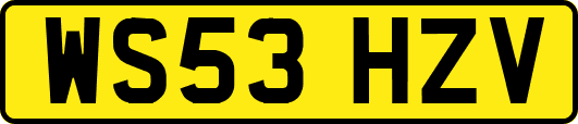WS53HZV