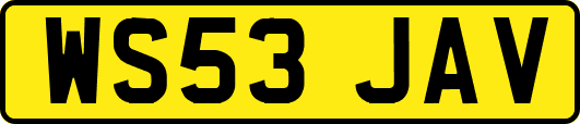 WS53JAV