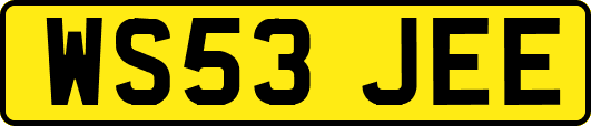 WS53JEE