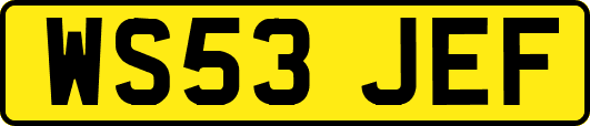 WS53JEF