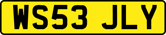 WS53JLY