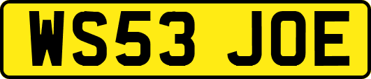 WS53JOE