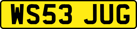 WS53JUG