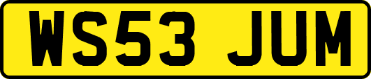WS53JUM