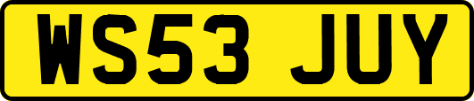 WS53JUY
