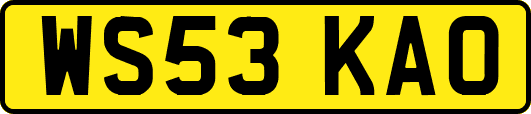 WS53KAO