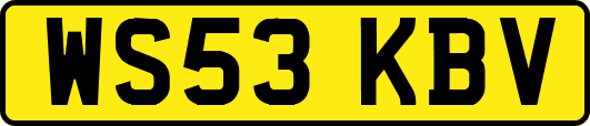 WS53KBV