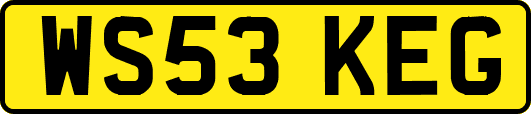 WS53KEG