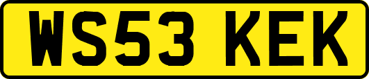 WS53KEK