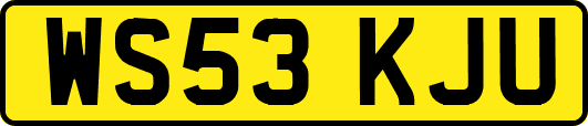 WS53KJU