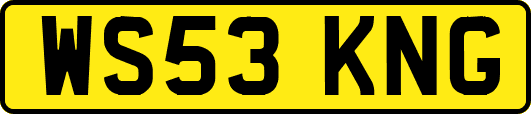 WS53KNG